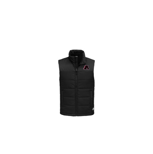 North Face Everyday Insulated Vest